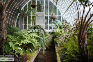 Працівник На Виробництво Тепличних Саджанців - робота в Польщі