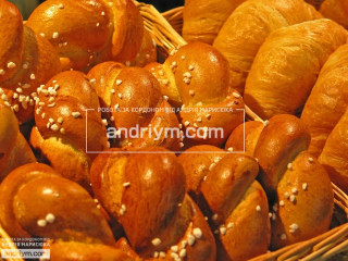 Водій Навантажувача На Хлібопекарне Підприємство - робота в Польщі